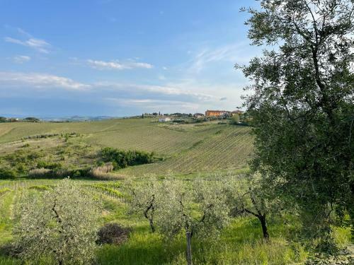 Apartamento Appartamento Girasole