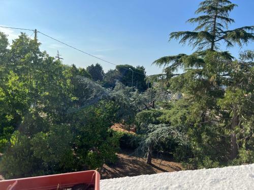 Hostal Villa Del Tiglio