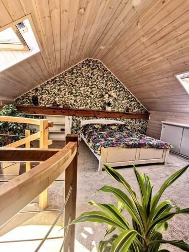 Apartament Z Antresol? W ?ywkach