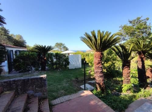 Villa Martino Apartments
