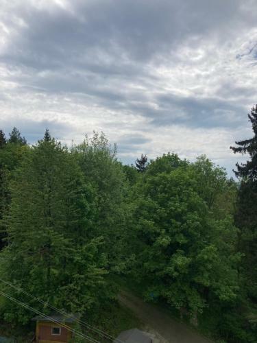 Apartament Bb Z Widokiem Na Krynic?
