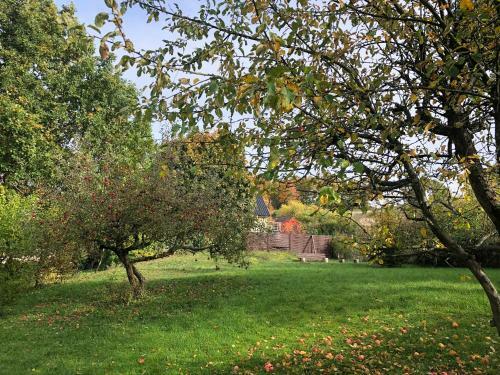 Apple Tree House