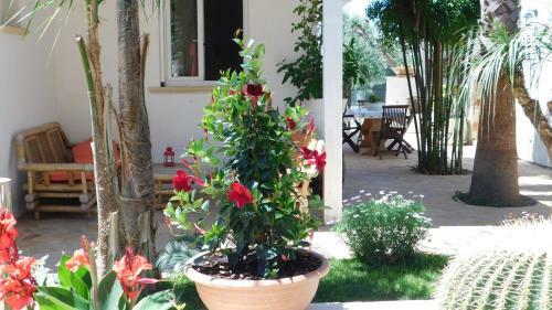 Apartamento Raggio Di Sole Room