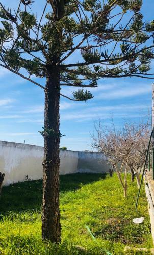 Apartamento Fior Di Cappero