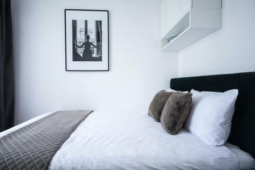 Apartament Superior Al. Rac?awickie