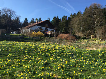 Hotel Auberge De Liezey