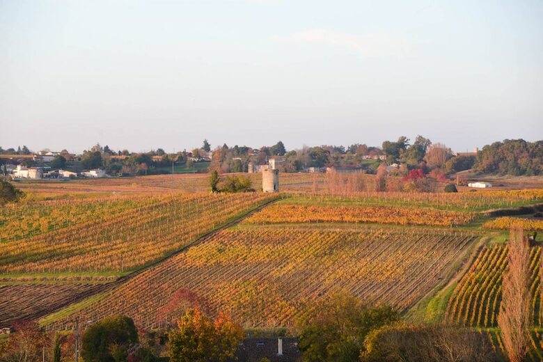 Bed & Breakfast La Closerie De Fronsac
