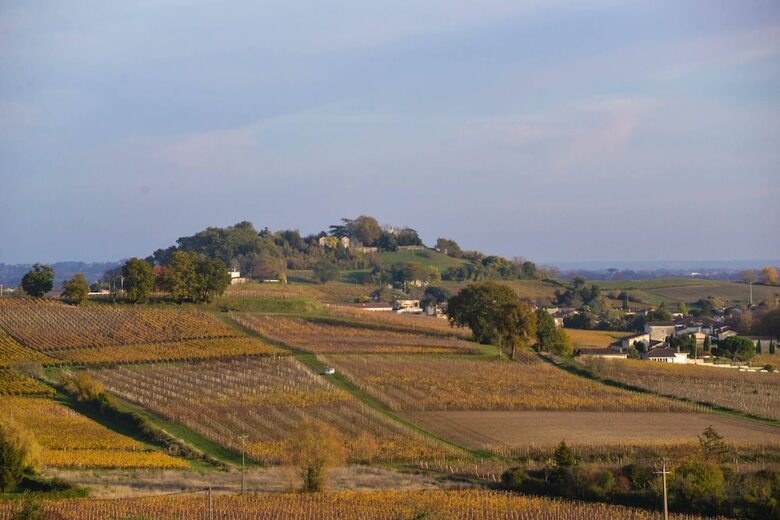 Bed & Breakfast La Closerie De Fronsac