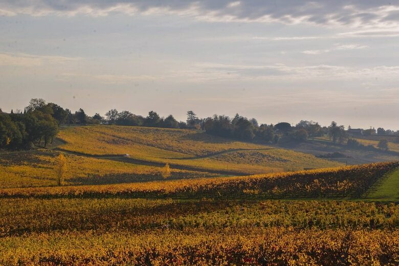 Bed & Breakfast La Closerie De Fronsac