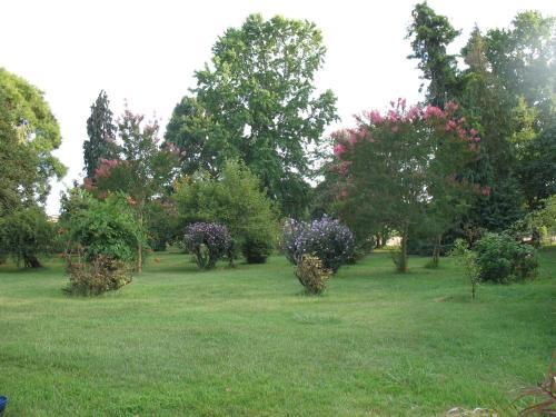 Gite Le Chardon Fleuri