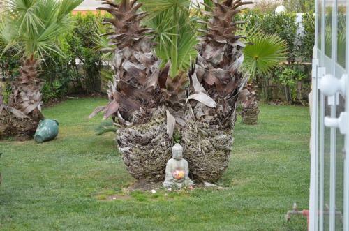 Bed & Breakfast Floripa Surf House