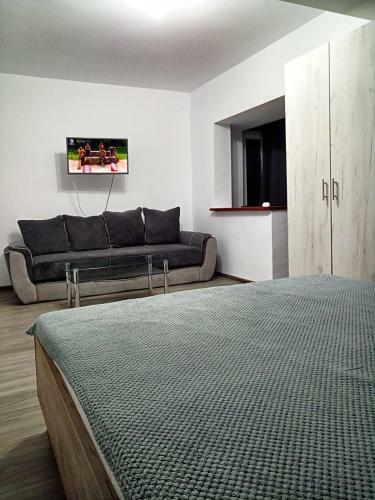 Apartamento Garsoniera Angelica