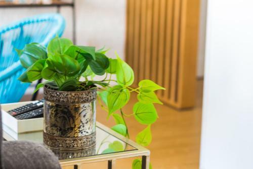 Apartamento Insuapraia Beach House