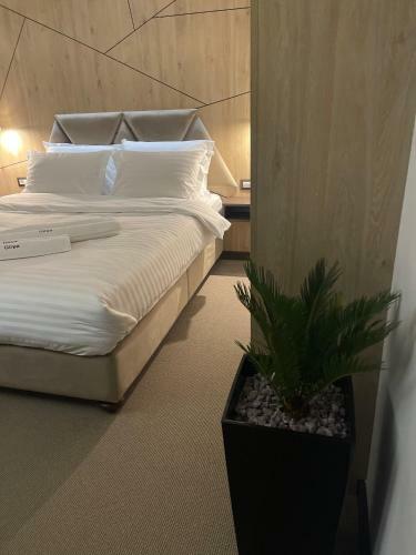 Hotel Goya Boutique