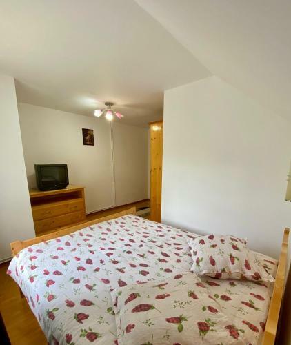 Hostal Pensiunea Mary & Ela