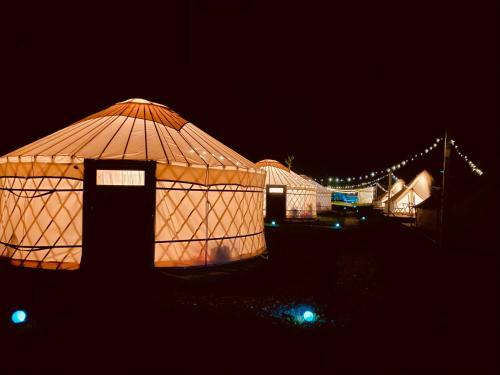 Glamping Iurte Mongole Spiritul Zimbrului