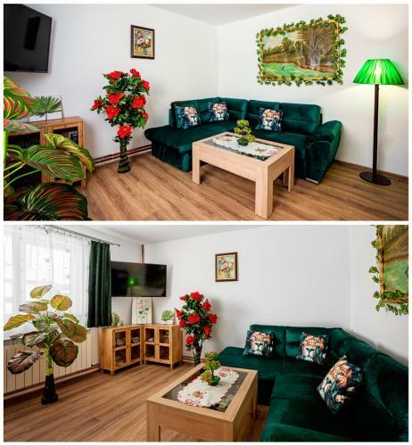 Hostal Casuta Cu Flori