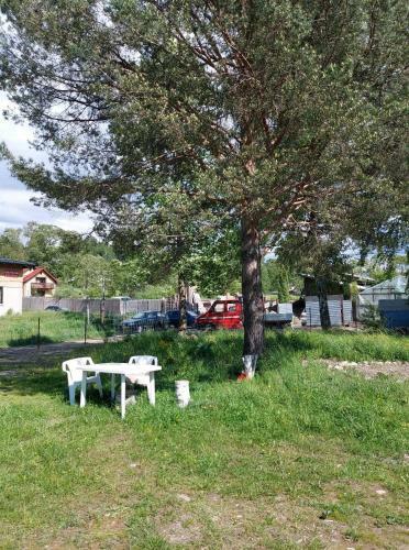 Apartamento Casa Rodica