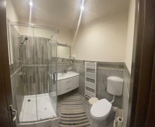 Hostal Pensiunea Ancu?a