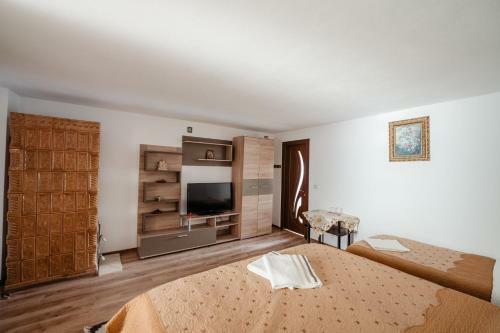 Hostal Pensiunea Romina