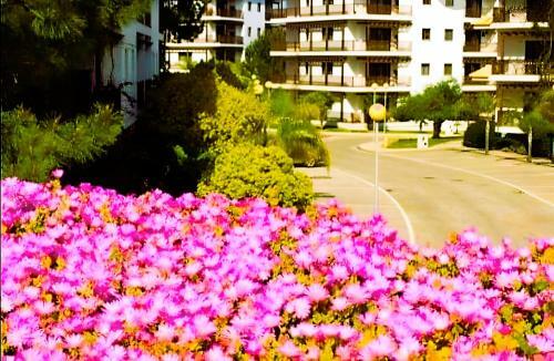 Apartamento Flat 2 Bedrooms Pine Sun Park, Acoteias - Albufeira
