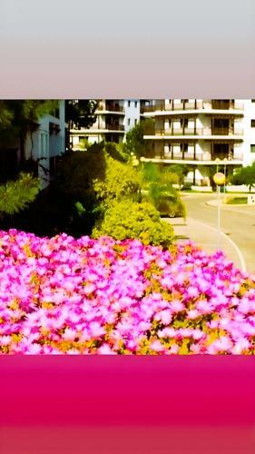 Apartamento Flat 2 Bedrooms Pine Sun Park, Acoteias - Albufeira