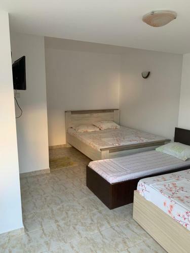 Hostal Pensiunea Raul Eforie Sud