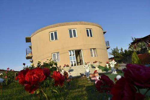 Hostal Pensiunea Nony