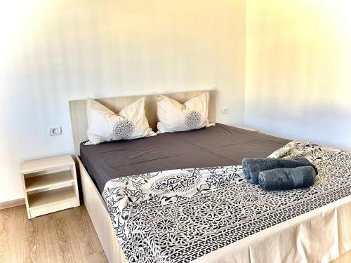 Hostal Pensiunea Scoica