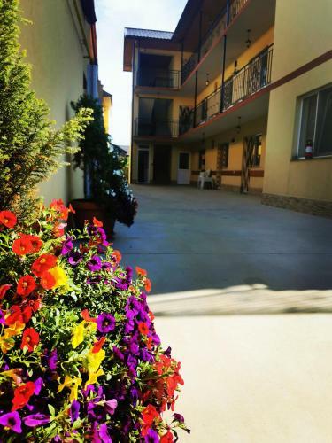 Hostal Pensiunea Scoica