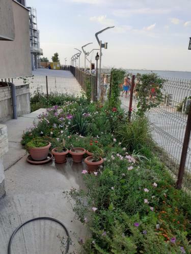 Apartament Noblesse, Complex Apolonia-eforie Nord