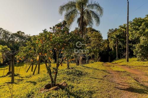 Apartamento Su�te Norte S�tio Do Otto
