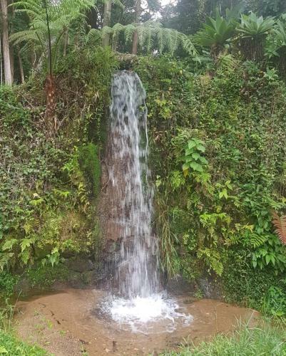 S�tio Recanto Saber Viver