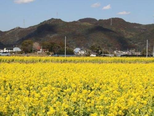 Hotel Kamogawa Grand Tower - Vacation Stay 68351v