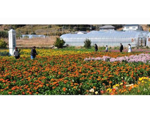Hotel Kamogawa Grand Tower - Vacation Stay 68324v
