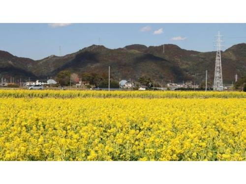 Hotel Kamogawa Grand Tower - Vacation Stay 68324v