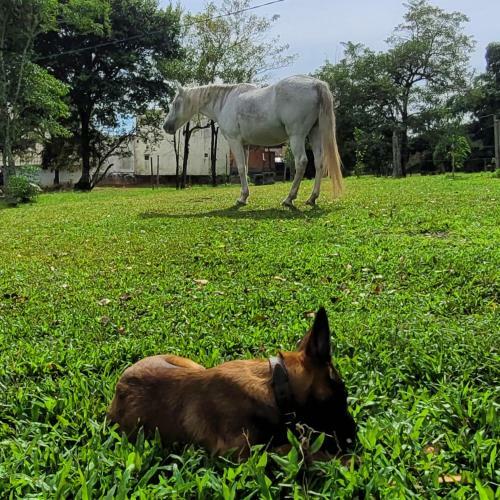 Chal� Amplo E Confort�vel Em Meio A Natureza