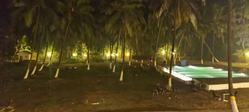 Hotel Kiva Beach Reosrt