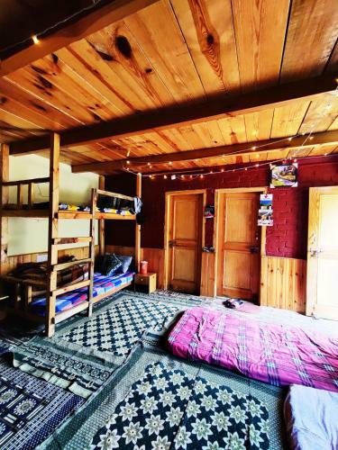 Near Naggar Castle Jungle Vibes Hostel