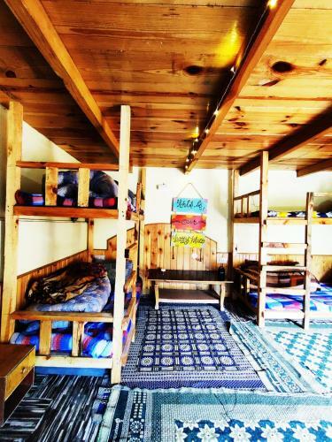 Near Naggar Castle Jungle Vibes Hostel