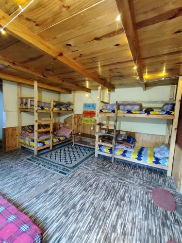 Near Naggar Castle Jungle Vibes Hostel