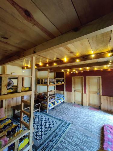Near Naggar Castle Jungle Vibes Hostel