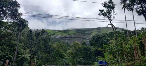 Parijatham Heritage Home Stay