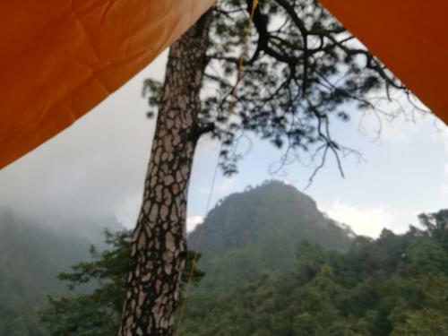 Nainital Nature Camp