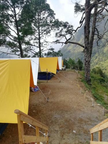 Nainital Nature Camp