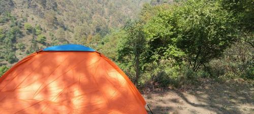 Nainital Nature Camp