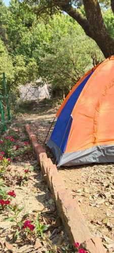 Nainital Nature Camp
