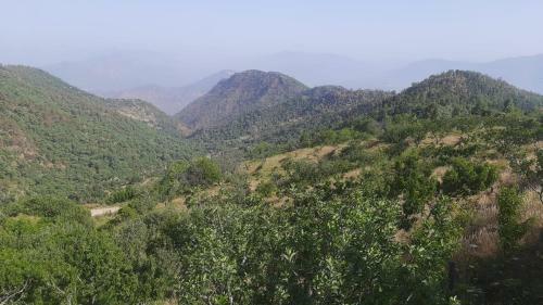 Ekantha Homestay