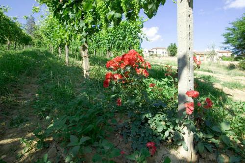 Bed & Breakfast Benvenuti Altrove