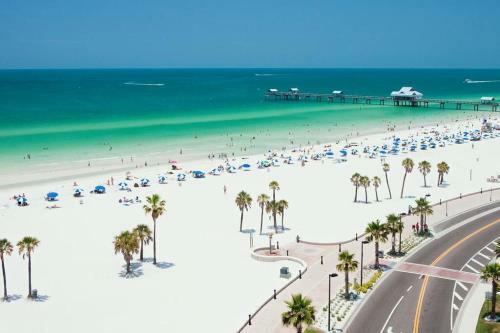 Casabetty Clearwater Florida